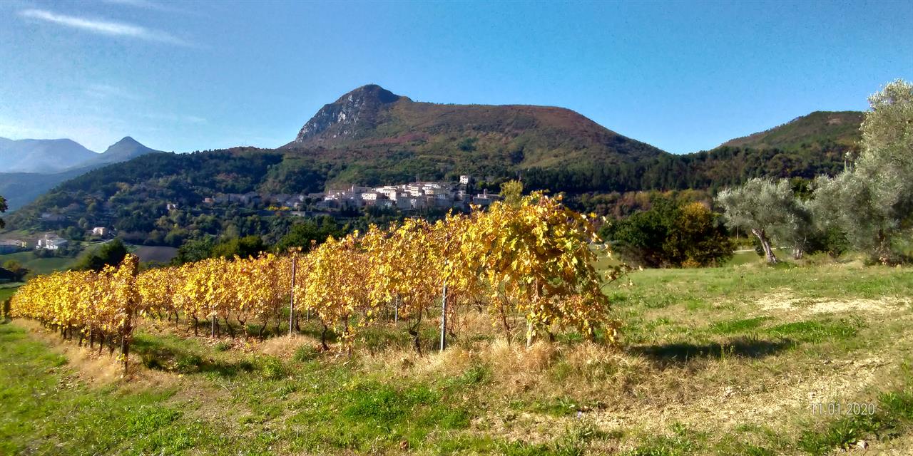 Serra San Quirico